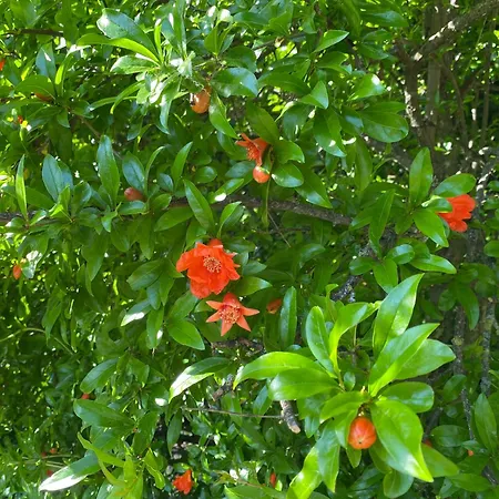 Casa Hermes Casa vacanze