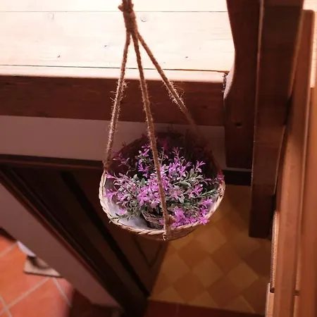 Casa Hermes